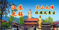 啊啊啊动漫好大快插江苏无锡灵山大佛旅游风景区