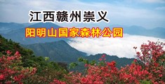 插B高清视频